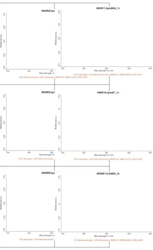 Gambar 4. Diagram analisis PIMA