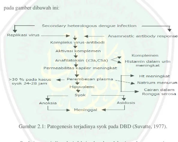 Gambar 2.1: Patogenesis terjadinya syok pada DBD (Suvatte, 1977). 