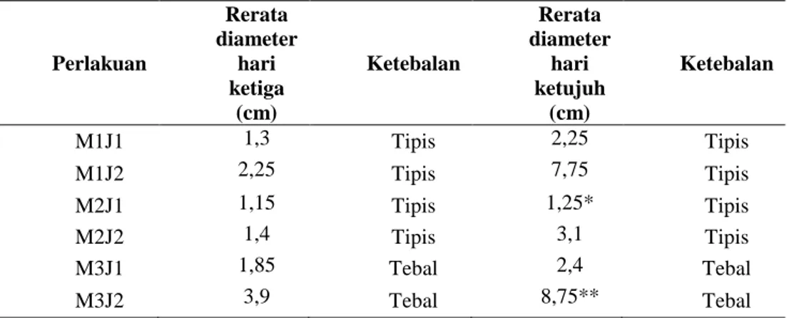Tabel 1.1 Rerata diameter pertumbuhan dan ketebalan miselium bibit F0 jamur tiram dan  jamur  merang  pada  media  alternatif  ekstrak,  bubur  dan  tepung  singkong  selama  tujuh  hari
