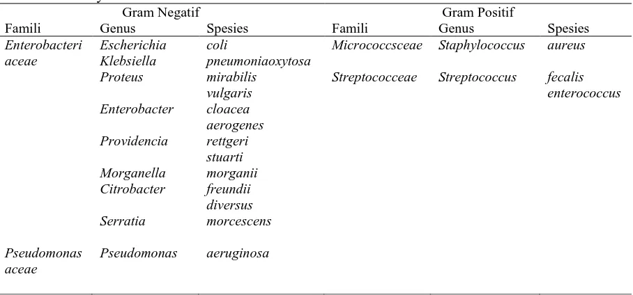 Tabel 2.1  Famili, Genus dan Spesies Mikroorganisme yang Paling Sering Sebagai Penyebab ISK Gram Negatif Gram Positif 