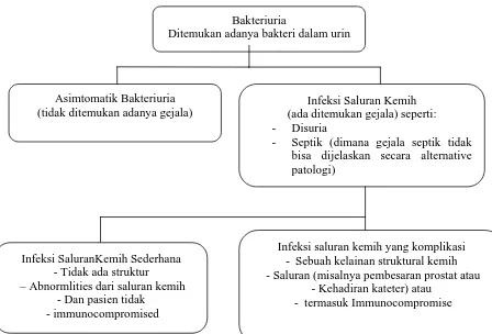 Gambar 2.1. Kriteria diagnosa Infeksi Saluran kemih (Woodford J, 2011). 