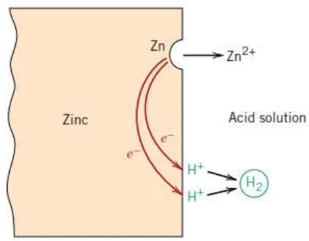 Gambar 2.1  Reaksi elektrokimia terkait dengan korosi pada zinc dalam larutan asam (sumber : M