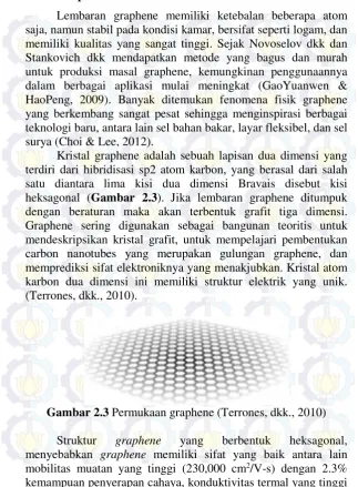 Gambar 2.3  Permukaan graphene (Terrones, dkk., 2010) 
