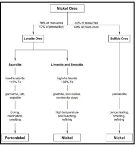 Gambar 2.2 Diagram Ekstraksi Nikel dan FerroNickel 