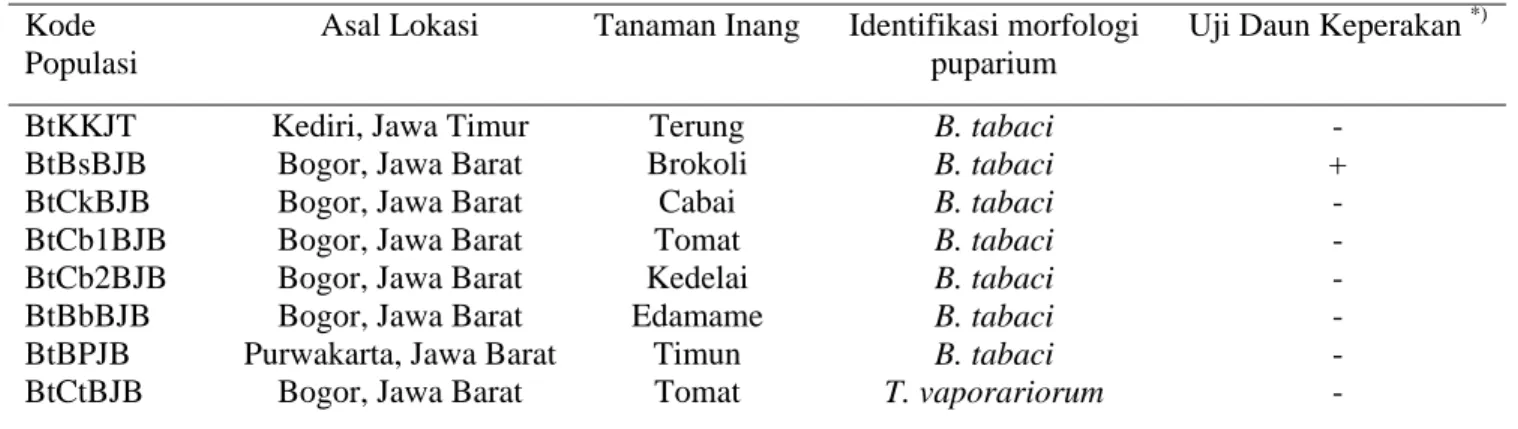 Tabel 1.  Hasil identifikasi kutukebul yang berasal dari beberapa tanaman inang 