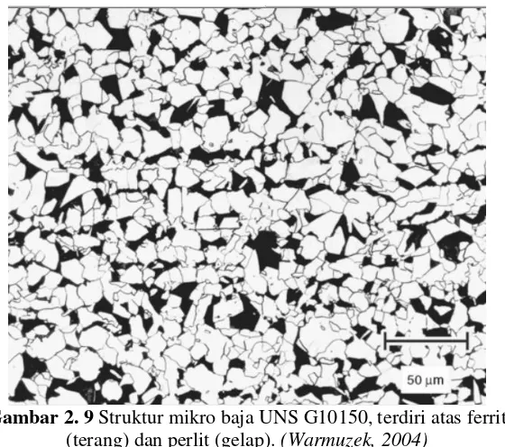 Gambar 2. 9  Struktur mikro baja UNS G10150, terdiri atas ferrit 