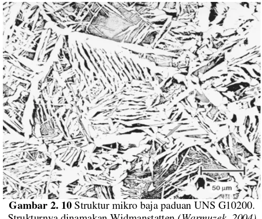 Gambar 2. 10 Struktur mikro baja paduan UNS G10200. 