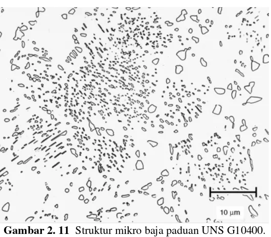 Gambar 2. 11  Struktur mikro baja paduan UNS G10400. 