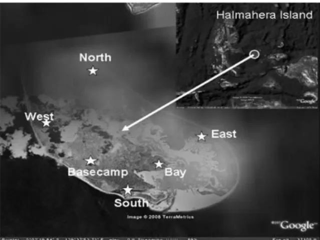 Gambar  1  Lokasi  penelitian  kepiting  kelapa  (Birgus  latro) di Pulau  Yoi,  Maluku  Utara