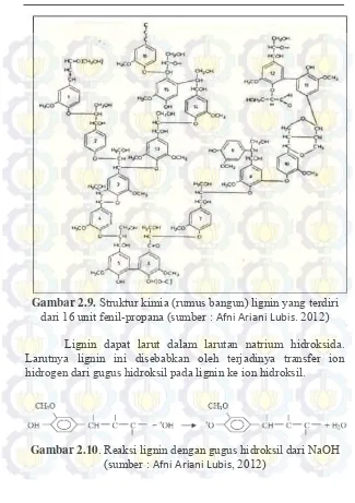 Gambar 2.9. Struktur kimia (rumus bangun) lignin yang terdiri 