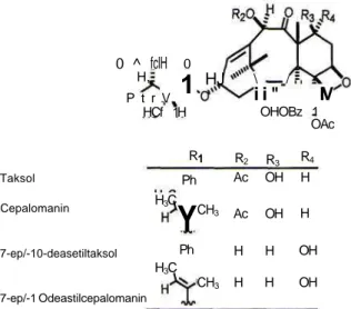Gambar 1. Struktur senyawa taxol dan isomer-isomernya