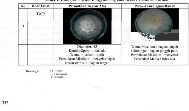 Tabel 1. Karakteristik morfologi kapang endofit dari Taxus sumatrana