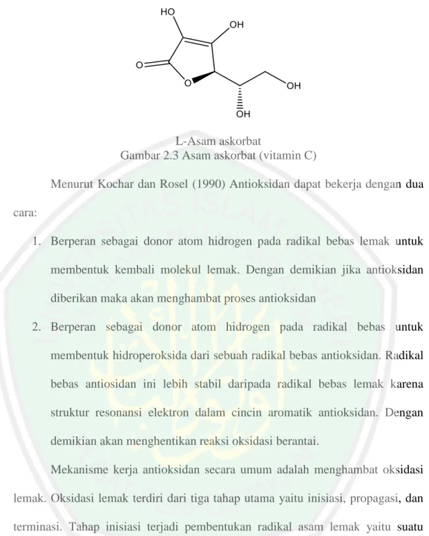 Gambar 2.3 Asam askorbat (vitamin C) 