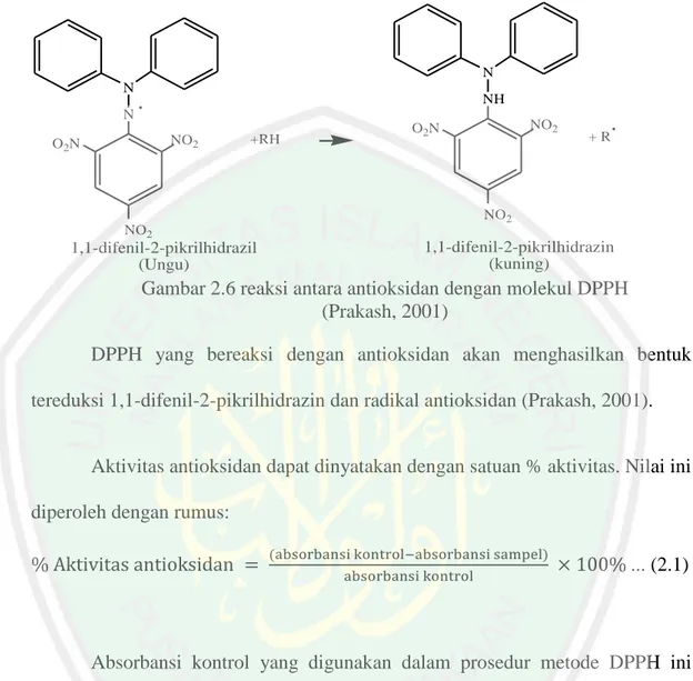 Gambar 2.6 reaksi antara antioksidan dengan molekul DPPH                           (Prakash, 2001) 