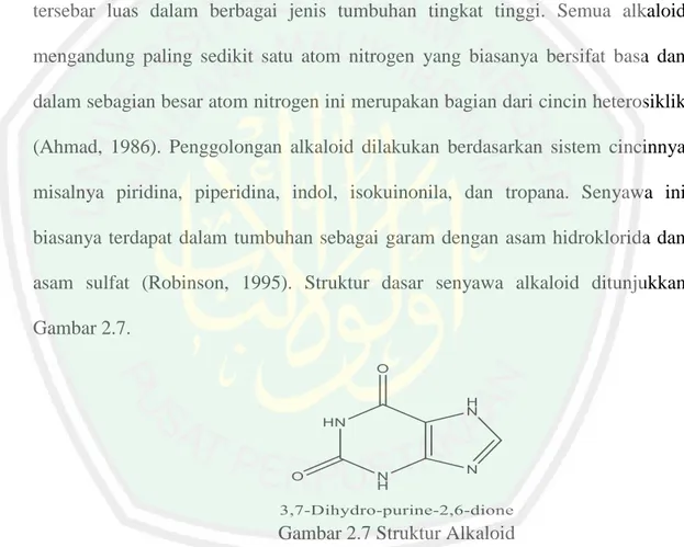 Gambar 2.7 Struktur Alkaloid 