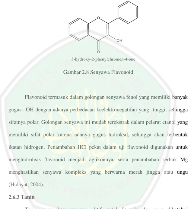 Gambar 2.8 Senyawa Flavonoid 