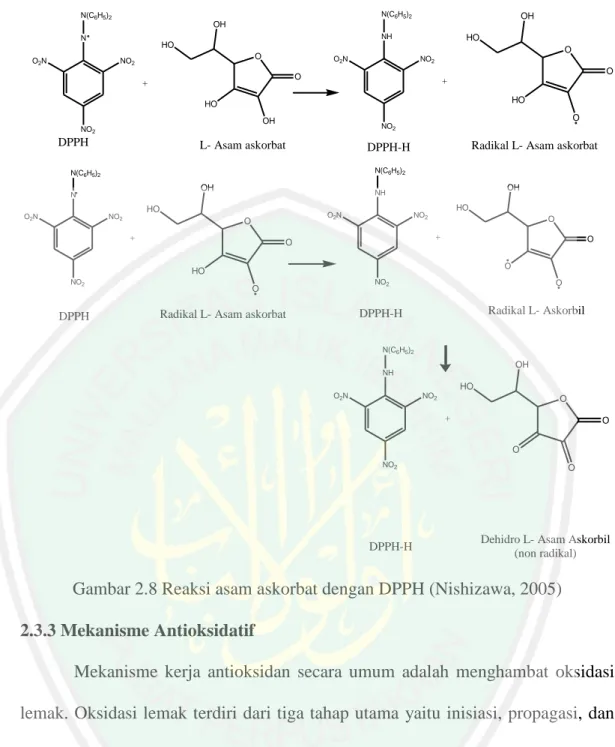 Gambar 2.8 Reaksi asam askorbat dengan DPPH (Nishizawa, 2005)  2.3.3 Mekanisme Antioksidatif 