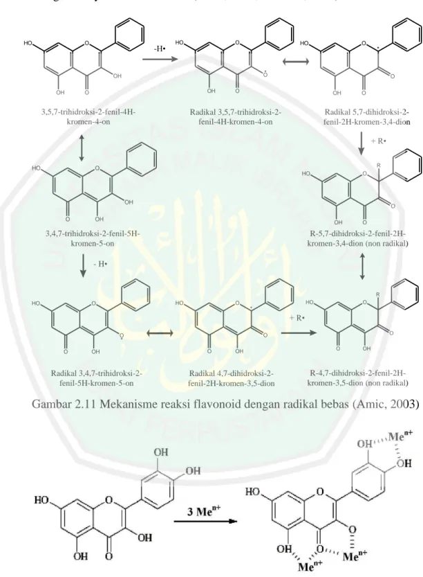 Gambar 2.11 Mekanisme reaksi flavonoid dengan radikal bebas (Amic, 2003) 