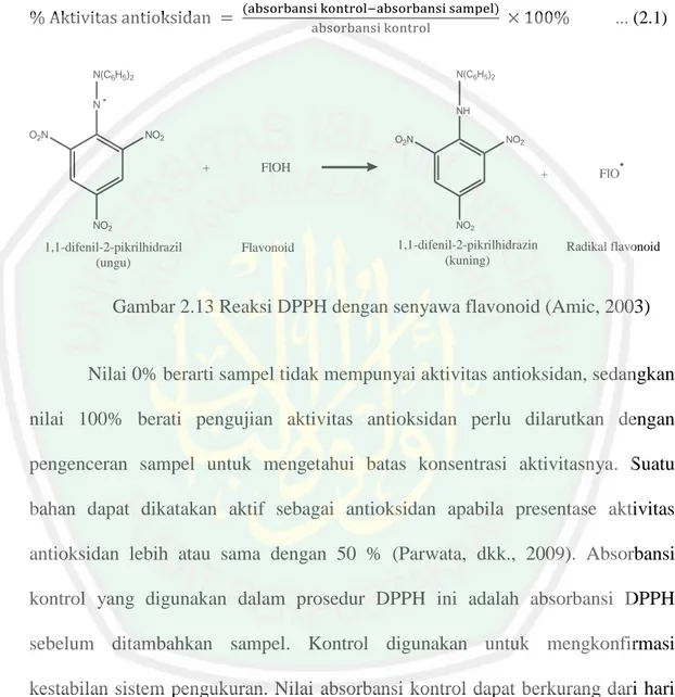 Gambar 2.13 Reaksi DPPH dengan senyawa flavonoid (Amic, 2003) 