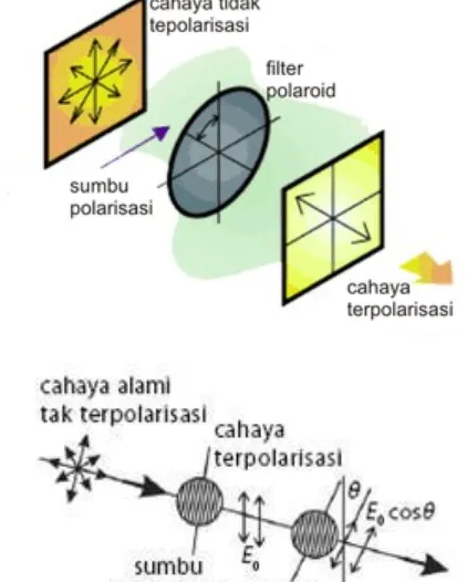 Gambar 2 :Dua buah polaroid, polaroid pertama disebut polarisator dan polaroid kedua disebut analisator dengan sumbu transmisi membentuk sudut 