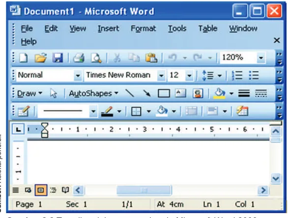 Gambar 2.2 Tampilan dokumen awal pada Microsoft Word 2003