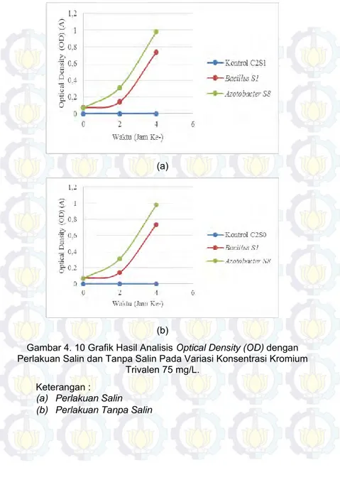 Gambar 4. 10 Grafik Hasil Analisis Optical Density (OD) dengan  Perlakuan Salin dan Tanpa Salin Pada Variasi Konsentrasi Kromium 