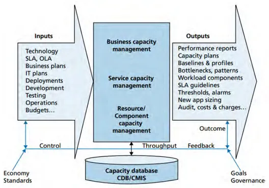 Gambar 2.6 Input dan output Manajemen kapasitas (Grummitt, 2009) 