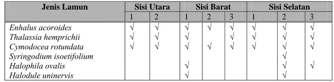 Tabel 2.  Jenis-jenis lamun yang ditemukan di perairan Pulau Barranglompo. 