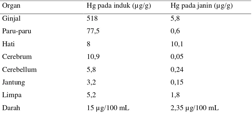 Tabel 2.1 Konsentrasi Hg pada Berbagai Organ Induk dan Janin  