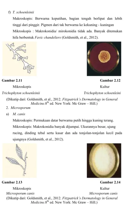Gambar 2.11Gambar 2.12