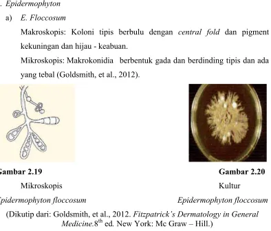 Gambar 2.19Gambar 2.20