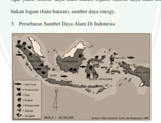 Gambar 1.1 Peta persebaran sumber daya alam di Indonesia  