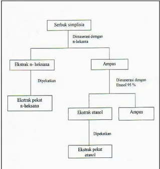 Gambar 2.  Isolasi asam fenolat dari ekstrak etanol tanpa  hidrolisis 