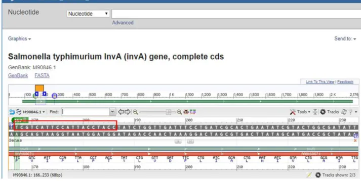 Gambar 4b.  Hasil penempelan primer inva gene Penempelan primer forward pada Panjang 167 bp