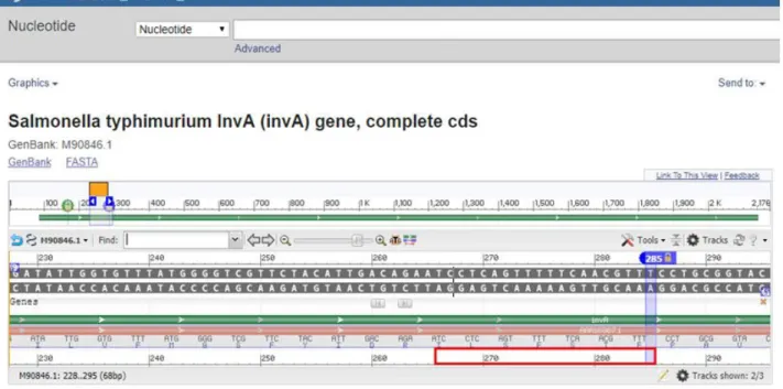 Gambar 4c.  Hasil penempelan primer inva gene Penempelan primer reverse pada Panjang 285 bp