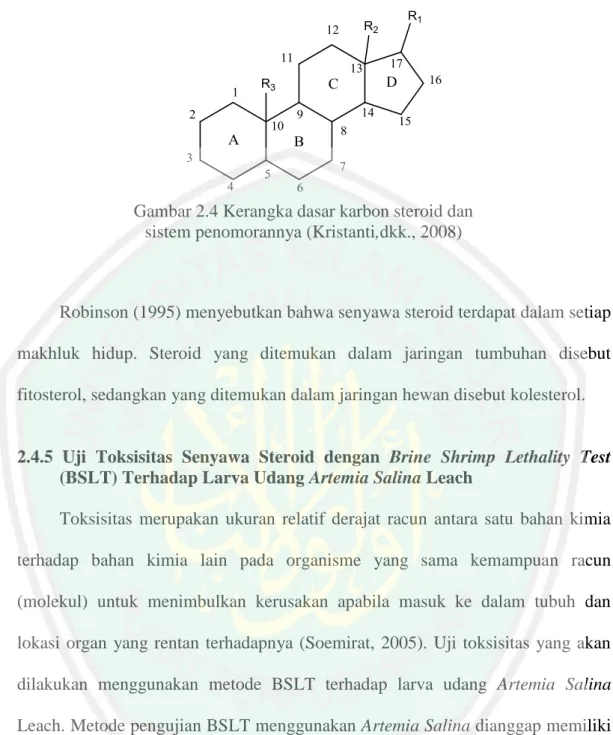 Gambar 2.4 Kerangka dasar karbon steroid dan  sistem penomorannya (Kristanti,dkk., 2008) 
