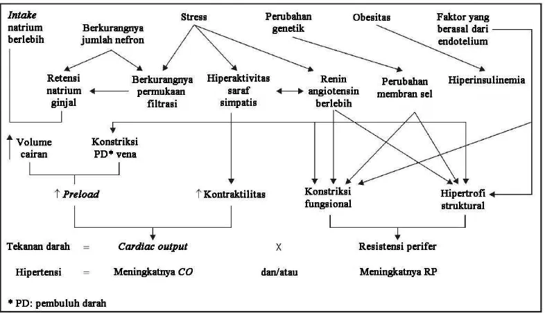 Gambar 2.1. Patofisiologi Hipertensi  