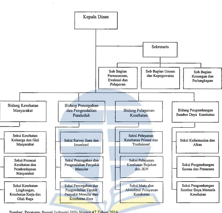Gambar 4.1  Struktur Organisasi  Dinas Kesehatan  Kabupaten Indragiri Hilir 