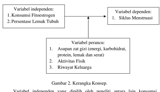 Gambar 2. Kerangka Konsep. 