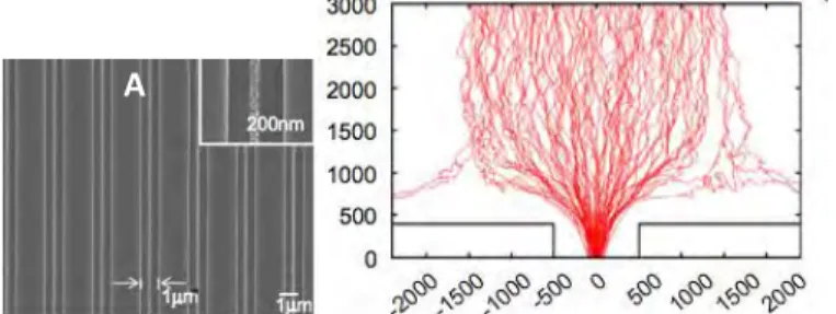 Gambar II.5 (B) merupakan simulasi pattern profile dari  10 4  trajectory  single  charged  partikel  Ag  di  mana  partikel  menunjukkan gerak Brownian yang zig-zag pada daerah yang  jauh dari permukaan