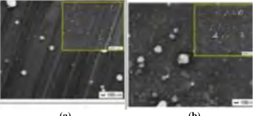 Gambar  II.6  FE-SEM  Image  dari  deposisi  partikel  pada  (a)  untreated  dan  (b)  treated  substrate  yang  telah  dirotasi (Naim et al., 2010) 