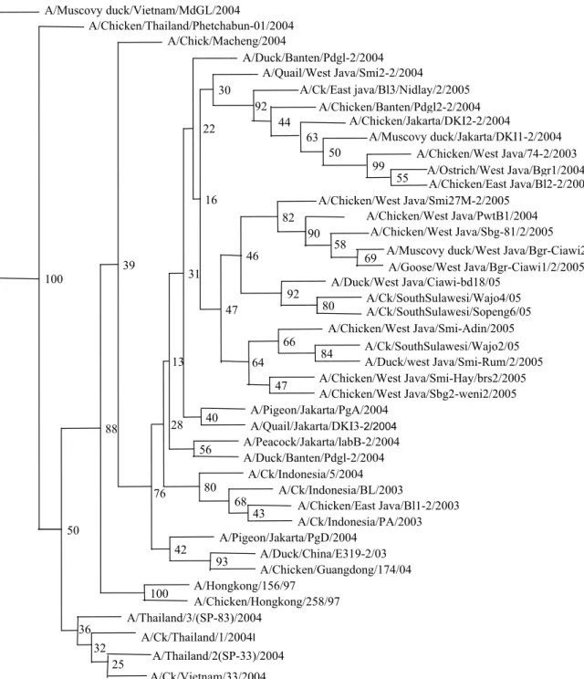 Gambar 2. Analisis phylogenetic terhadap urutan nukleotida pada fragmen gen HA1 virus avian influenza  Ketika avian influenza patogen terhadap satu spesies 