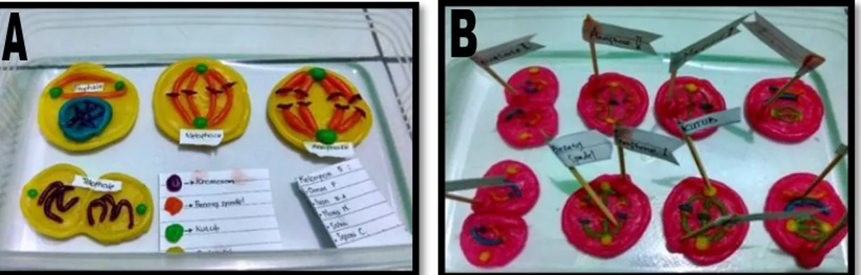 Gambar 2. Rekonstruksi bentuk 3D oleh peserta didik menggunakan media playdoh; (A) Bentuk 3D  Proses Mitosis; (B) Bentuk 3D Proses Meiosis 
