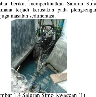 Gambar berikut memperlihatkan Saluran Simo 