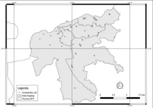 Gambar 1 Peta distribusi E. coli pada peternakan babi di Kota Kupang 