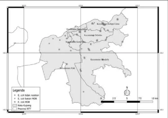 Gambar 3  Peta kejadian MDR E. coli di Kota Kupang (Elementary analysis of disease)  MDR  E