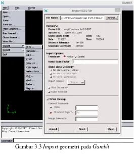 Gambar 3.3 Import geometri pada Gambit 