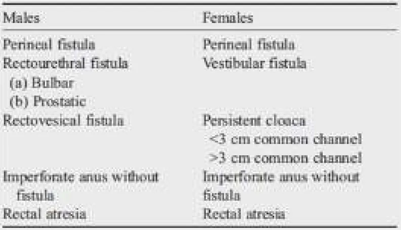 Tabel 2. Klasifikasi Malformasi Anorektal Menurut Pena. 4 