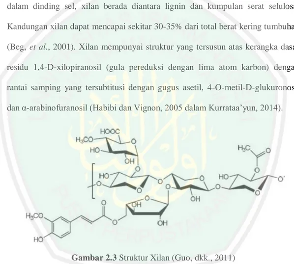 Gambar 2.3 Struktur Xilan (Guo, dkk., 2011) 