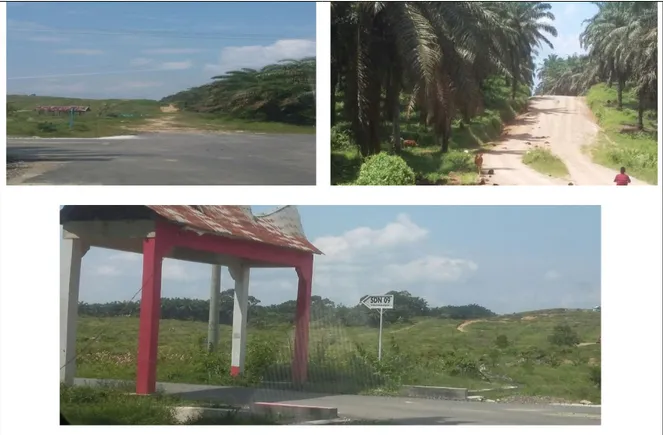 Gambar 1. Kondisi jalan di kawasan perkebunan sekaligus batas Kebun Plasma dan  Kebun Inti di Nagari Koto Baringin 